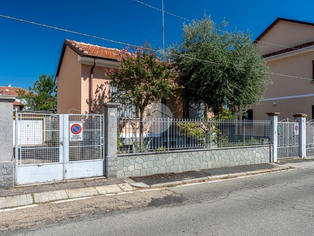 immagine annuncio 1 di 15