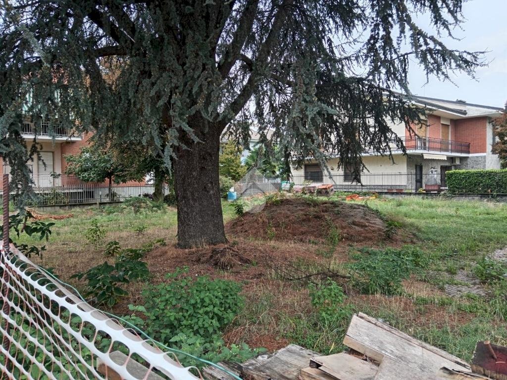 immagine annuncio 6 di 14