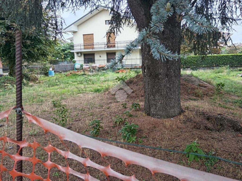 immagine annuncio 7 di 14