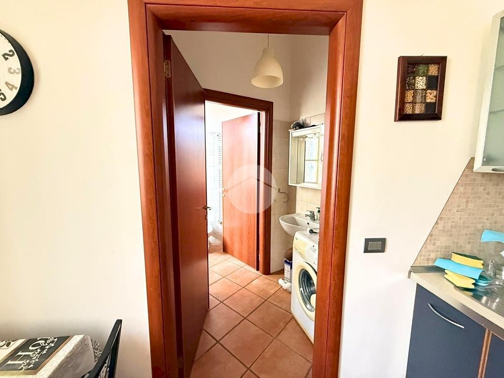 immagine annuncio 9 di 12
