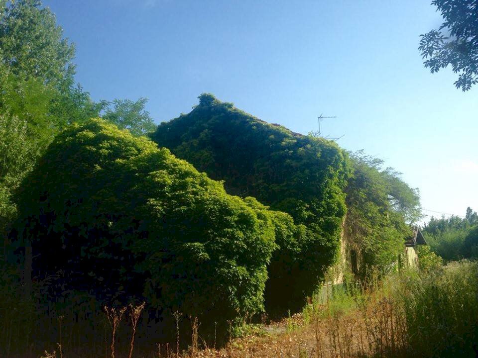 Tipica cascina piemontese di grande metratura con terreno