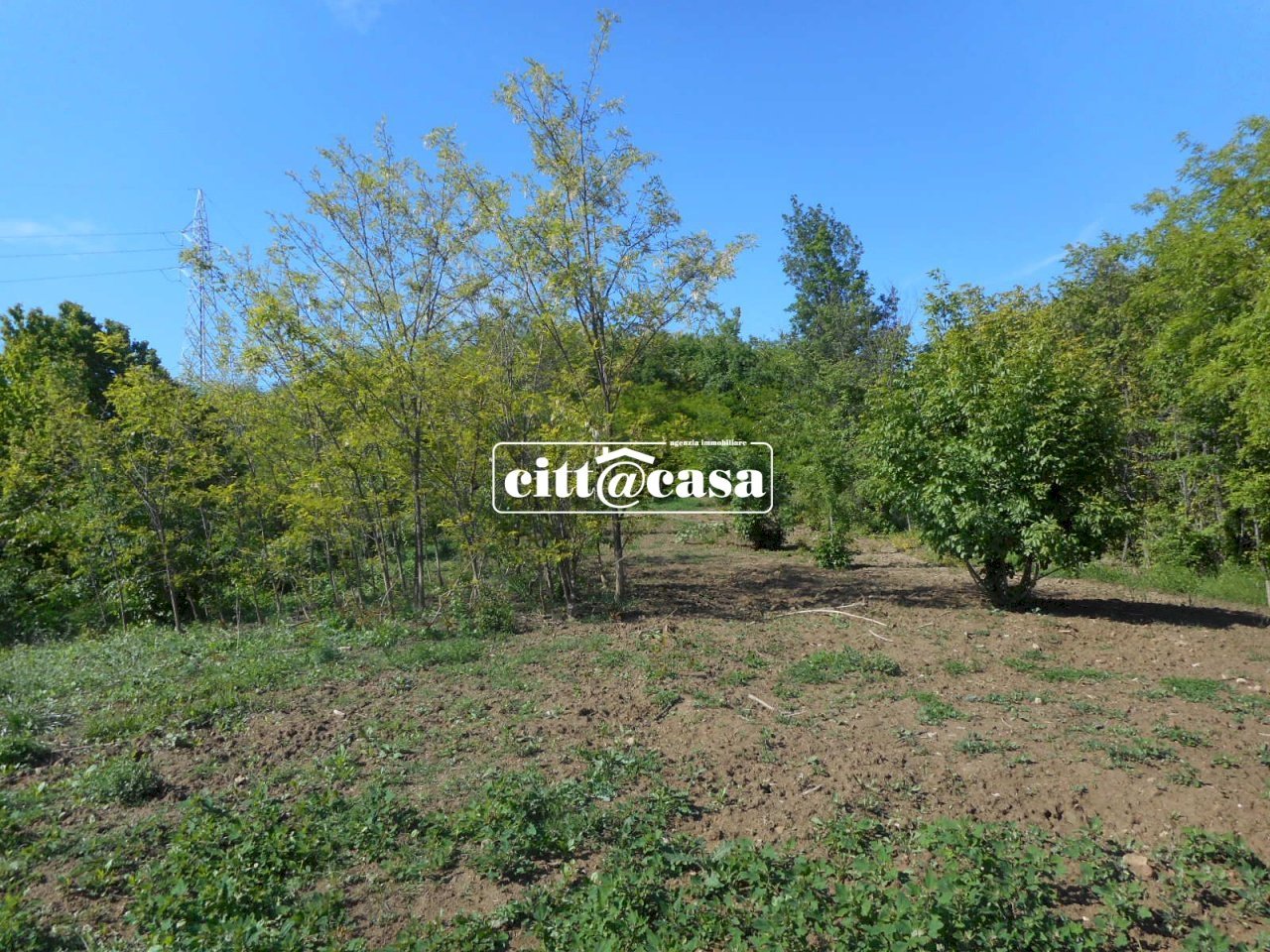 Terreno Agricolo in Vendita Cavagnolo