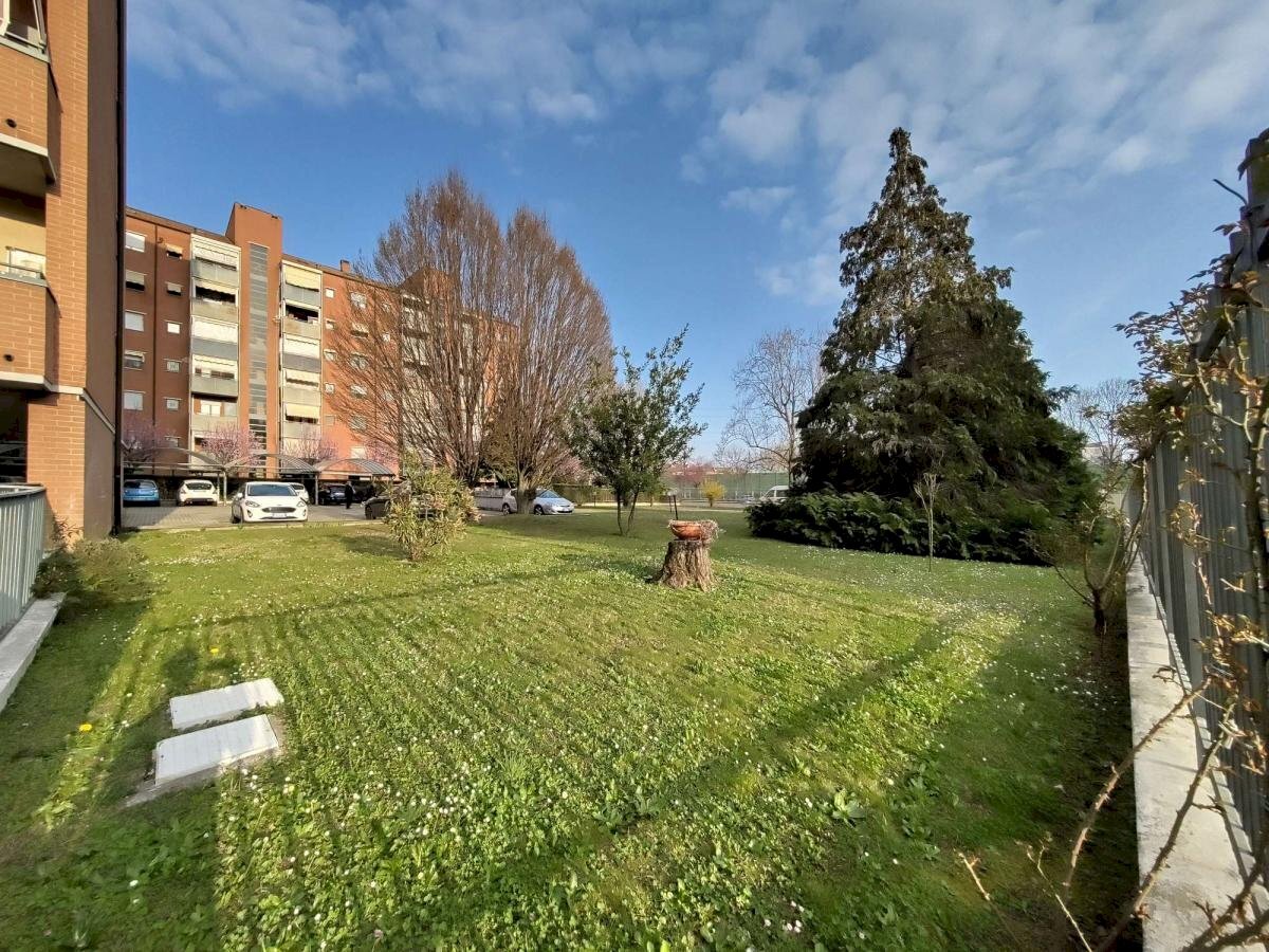 immagine annuncio 1 di 15