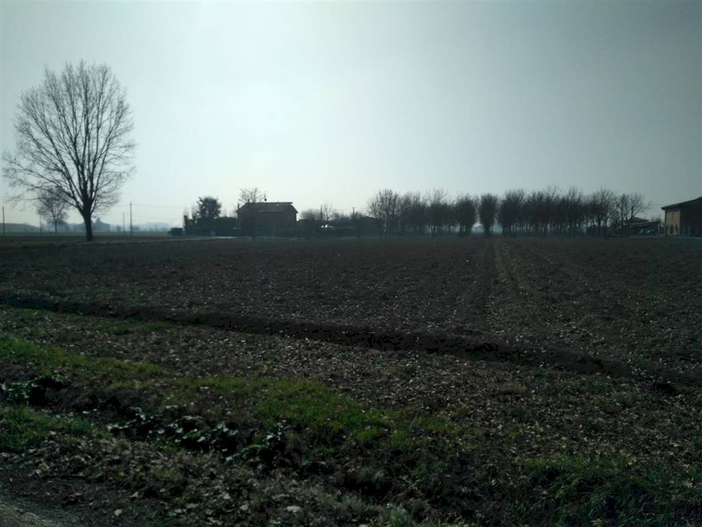 immagine annuncio 10 di 14