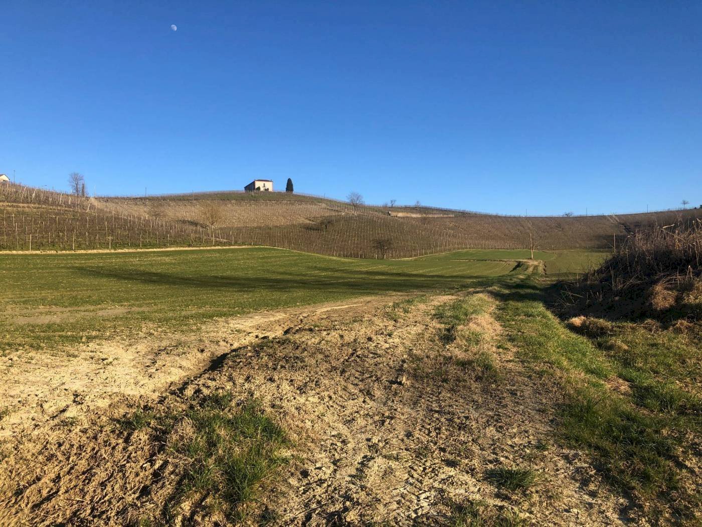 Terreno agricolo in vendita