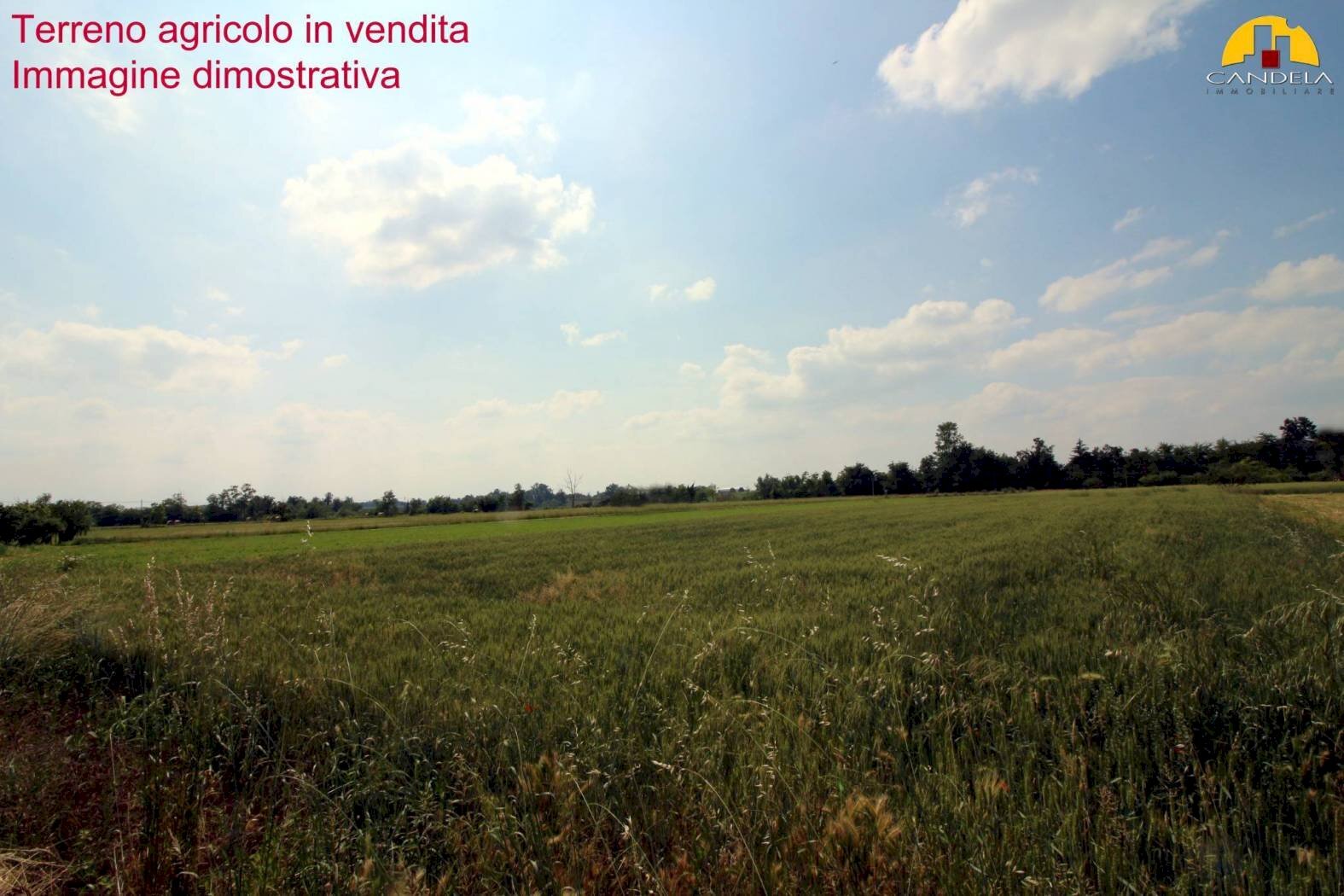 Mondovì terreno agricolo irriguo 8 giornate