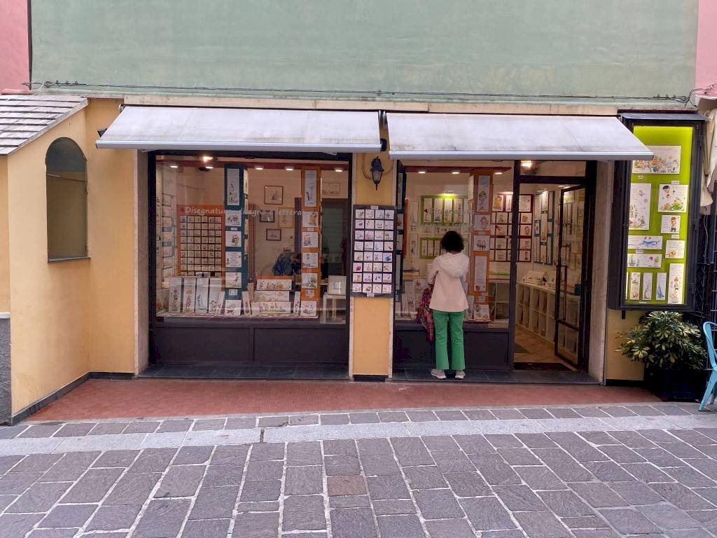 immagine annuncio 10 di 15