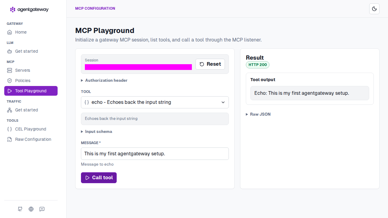 Playground echo call returning HTTP 200 with the message echoed back