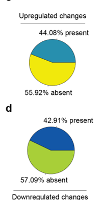 Two pie charts: 55.92% of up-regulated and 57.09% of down-regulated age-related changes are absent in trained older adults