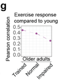 Pearson correlation of the acute exercise response to young, stepping down across trained, normal, then impaired older adults