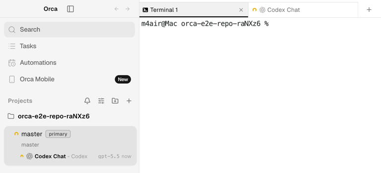 Orca with a Codex Chat tab opened beside Terminal 1 in an existing workspace