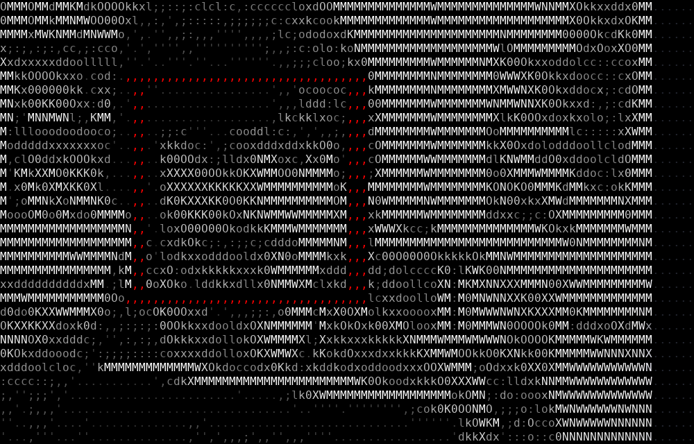 ascii-chat rendering a face as ASCII art with Face Follow on