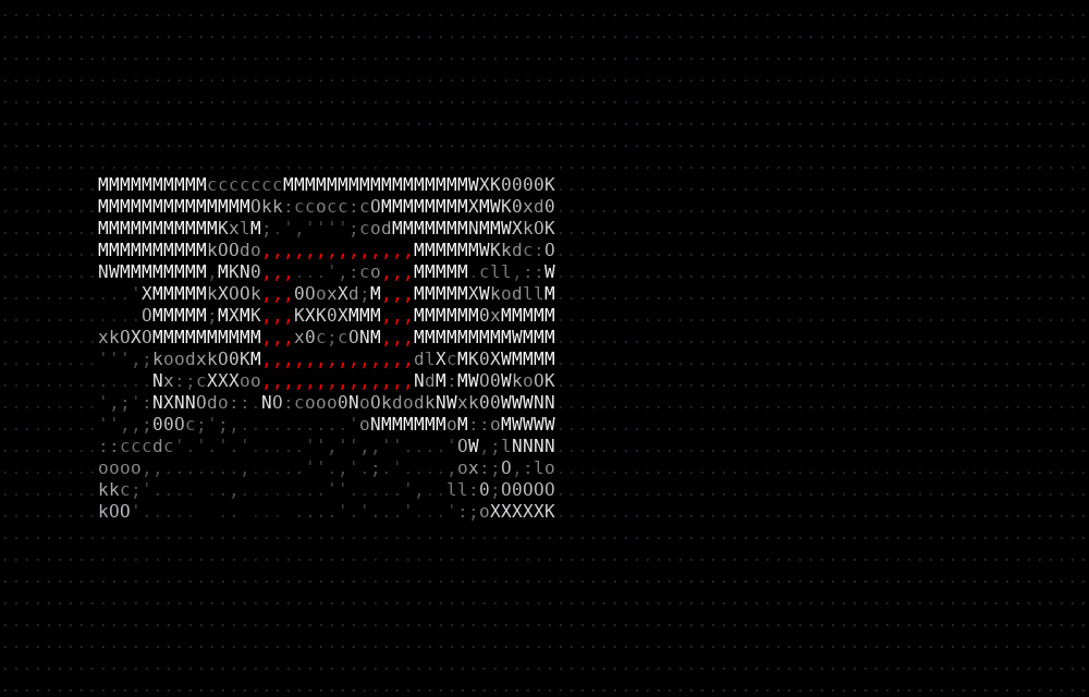Full camera frame rendered as ASCII, face small in the middle