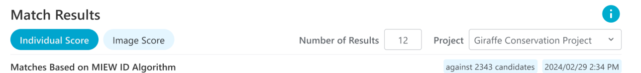 The Match Results page header with a project selected
