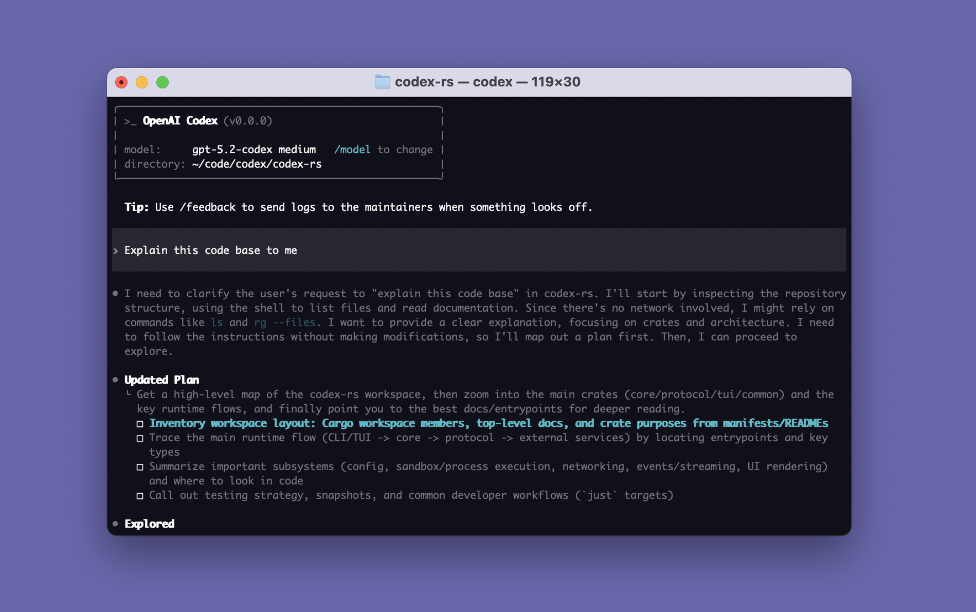 Codex CLI in a terminal window