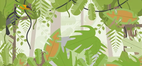 Ilustración de una jungla con tucán y camaleón escondidos tras hojas de árboles.