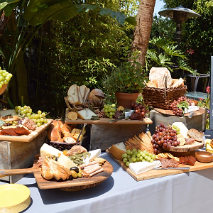 Graduation/Birthday Party International Cheese and Charcuterie Display