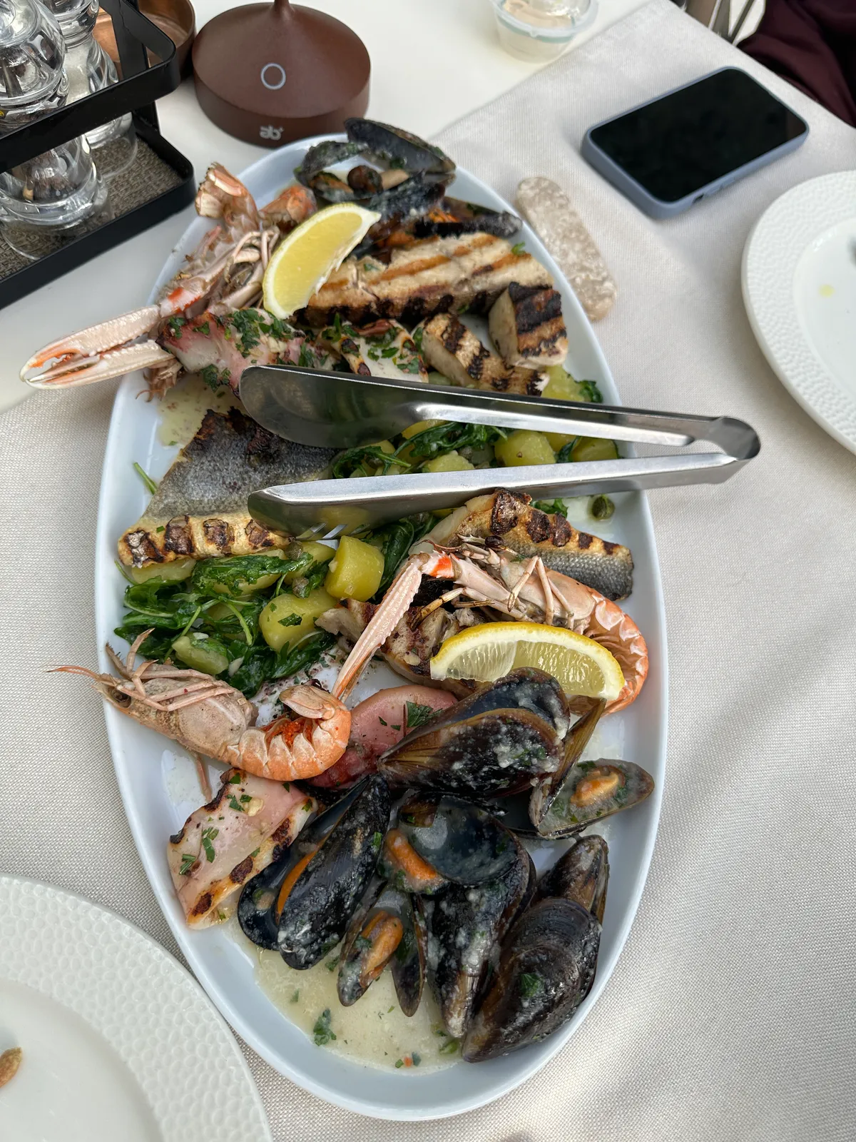 Fish Plate