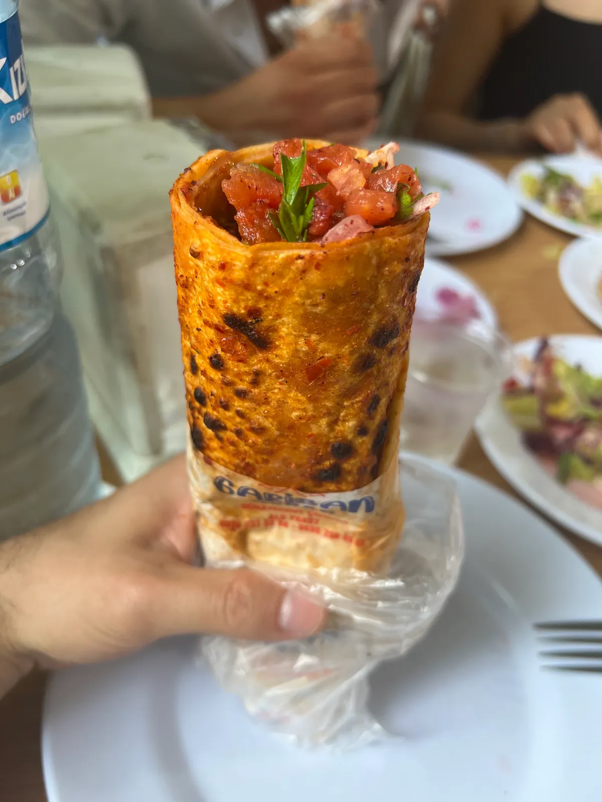 Gariban Kebap, Defne/Hatay mekanındaki Adana kebap için ekinakbiyik yorumu Resim