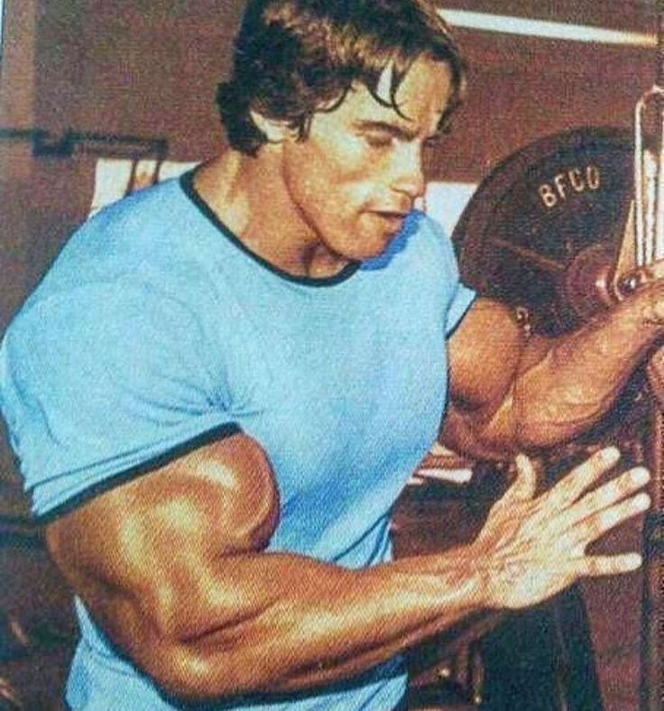 Welcome To Nitro Gym Shop Landing Page