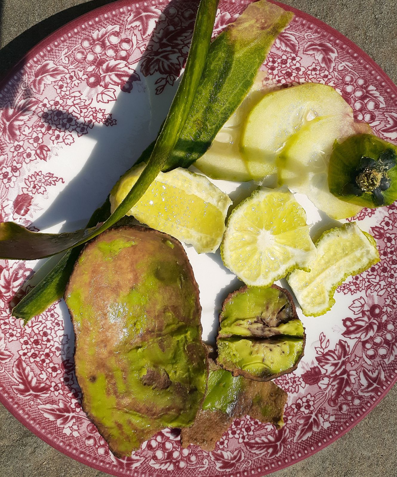 Most of the produce that you eat can nourish the outside as well as it nourishes from the inside.

 Save the skins, juice and scraps of vegetables and fruits to use as facial and hand treatments -or on areas of skin that need extra attention.

Cucumber 🥒 is hydrating and mildly astringent -relieving irritation and inflammation  and reducing acne. 
-Rub the juice or inner side of the peels on your skin. Rinsing it off is optional.

Lime or lemon 🍋 reduce hyperpigmentation, treat acne and infections. tighten pores and are rich in vitamin C, which has anti-aging properties.

☀️🏖 Stay out of the sun after applying lemon or lime juice to skin,  as it can cause sunburn.
-Apply the juice or inner peel to your skin and -rinse it off with cool water after ten minutes (earlier if it tingles)

Avocado 🥑is moisturizing, softens skin, reduces fine lines and wrinkles and has a protective factor against environmental stressors.
-Apply the mashed inner flesh of the avocado in a thin layer on face, hands and neck. When it starts to dry, rinse with lukewarm water.

These are just a few examples -the inner peel of potato,  apple,  bell pepper, etc all have great healing and nourishing properties. They naturally supply the phytonutrients that are added synthetically to commercial skincare products. This is your simple skincare routine. Whenever you cook, save the peels and scraps to use on your skin. Just remember that natural products can still react with sensitive skin. So try a test run on a small area with each new fruit or vegetable before applying to the whole face.