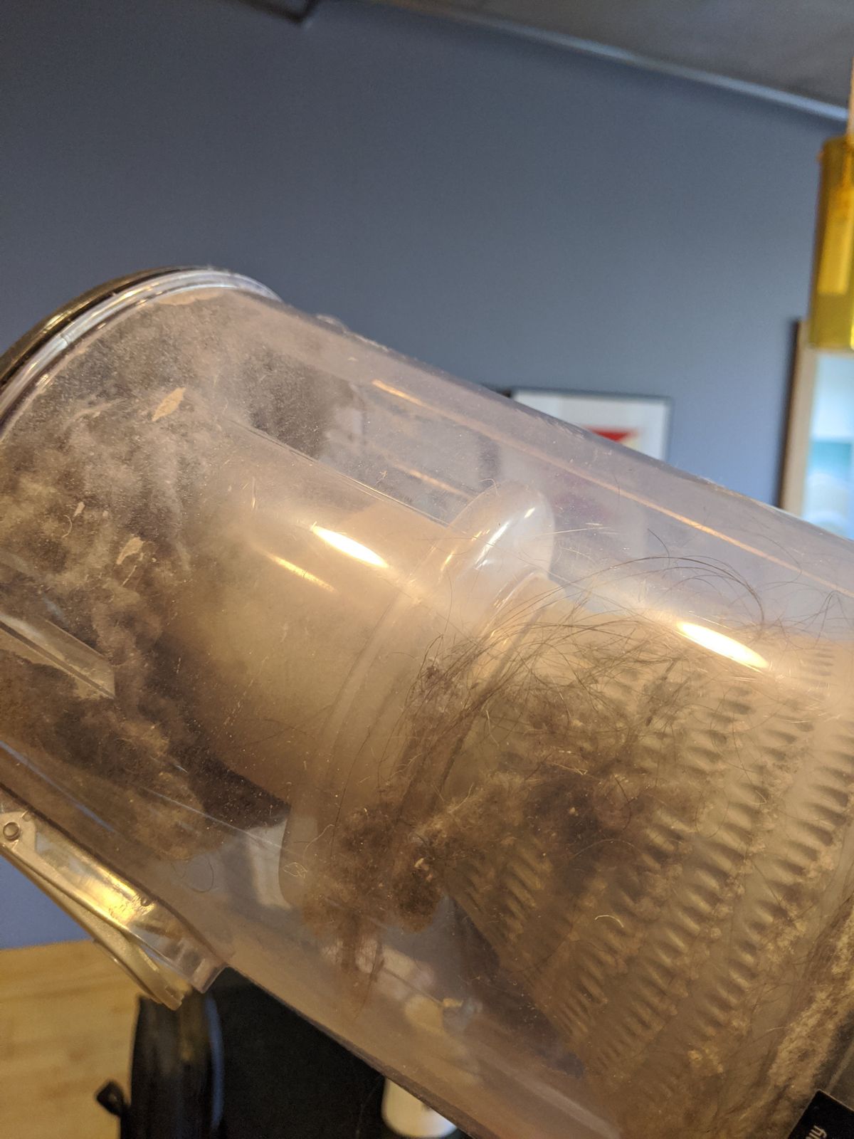 Amount of dirt, dust, and hair coming from just our bedroom. Maybe we should have fixed this thing sooner?