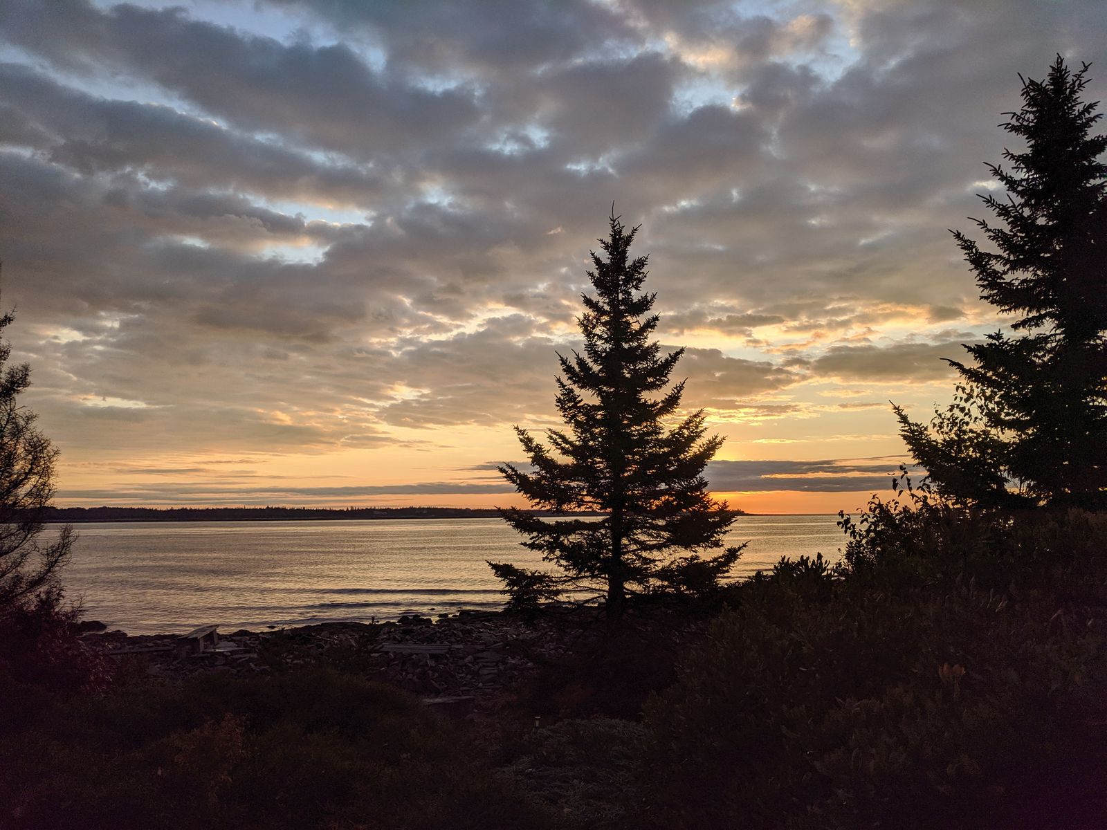 Photo Credit: Dr. Karen McQuaide