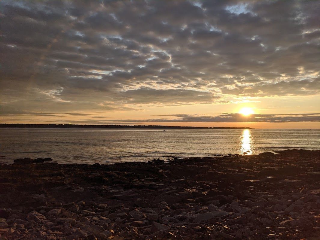 Photo Credit: Dr. Karen McQuaide