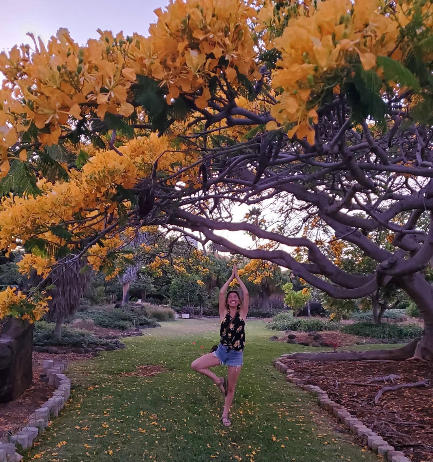 Imitating this beautiful tree in Hawaii