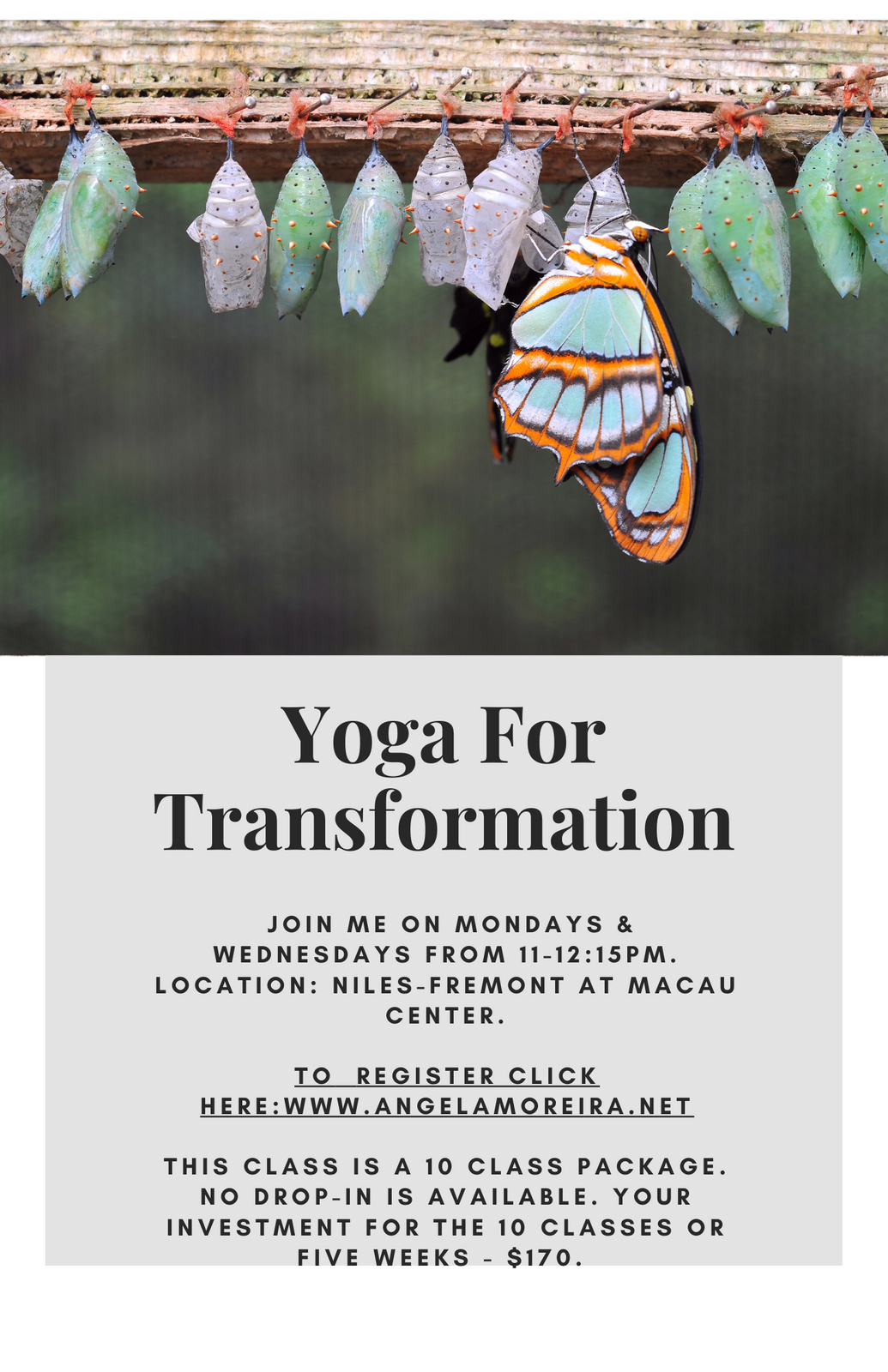 Live And Online Yoga Class By Angela Moreira