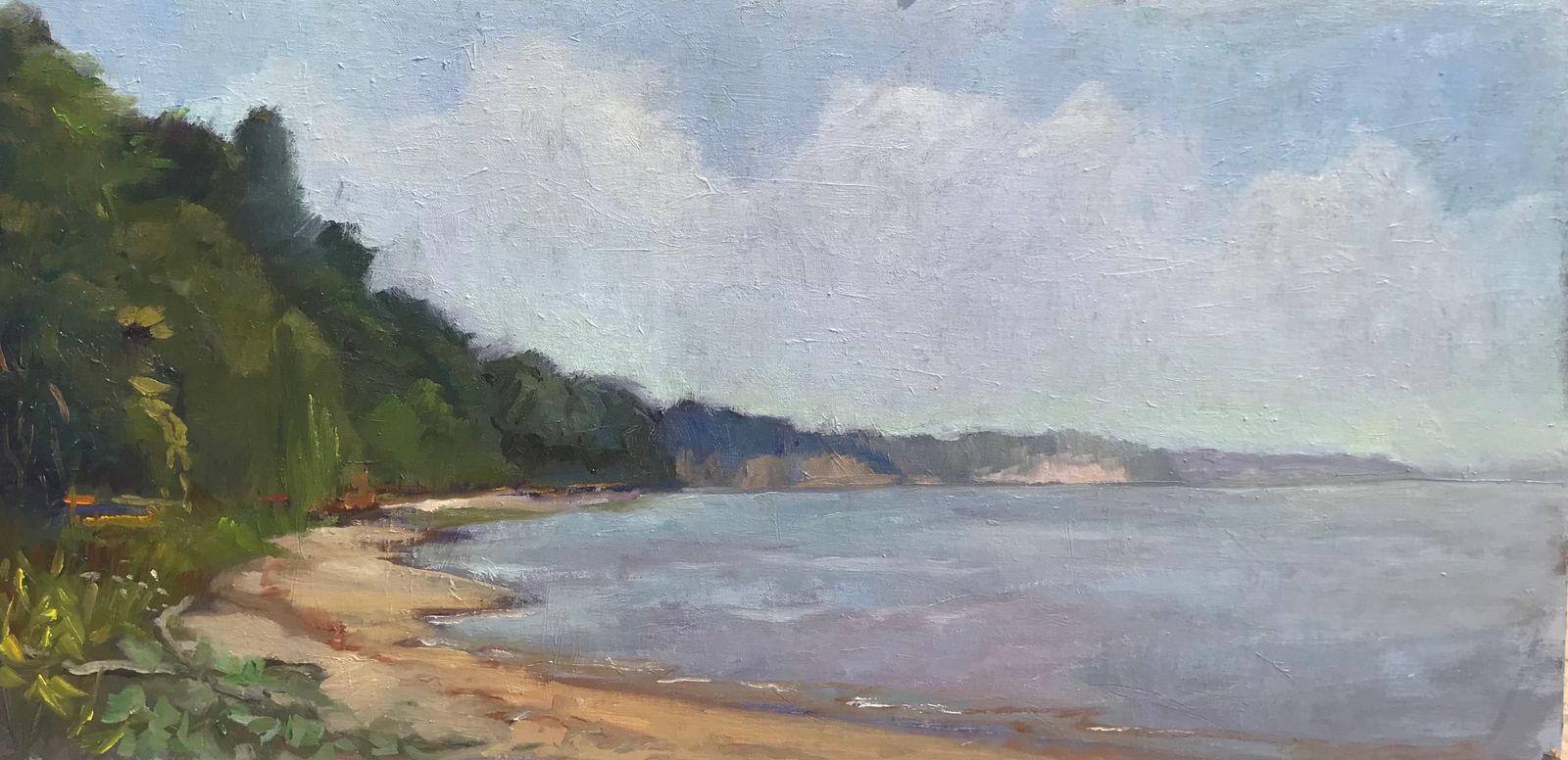 Scientist Cliffs: Oil on panel  Lauri Bruce