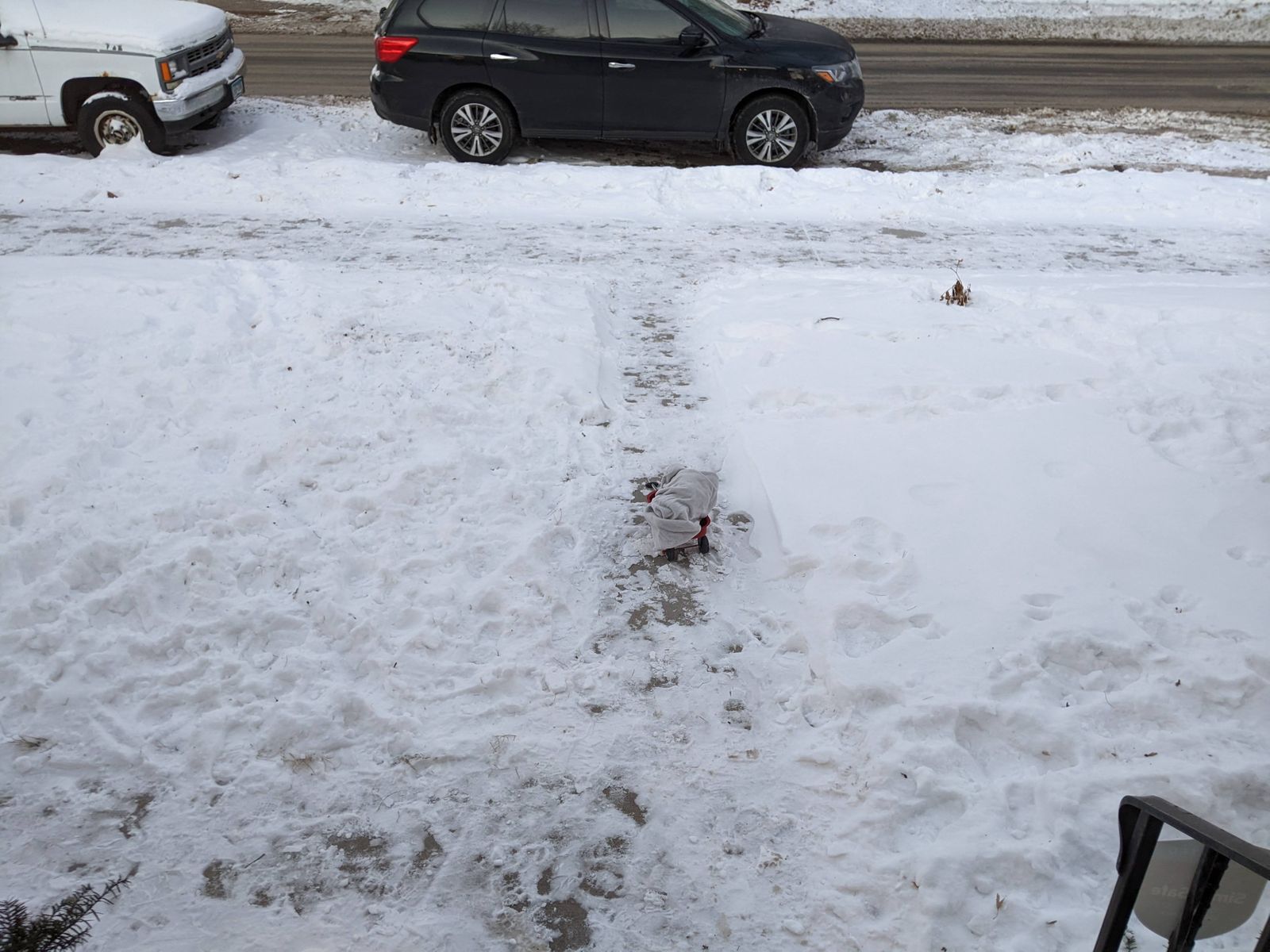 Can you spot Oso, wrapped in white and camouflaged against the snow?