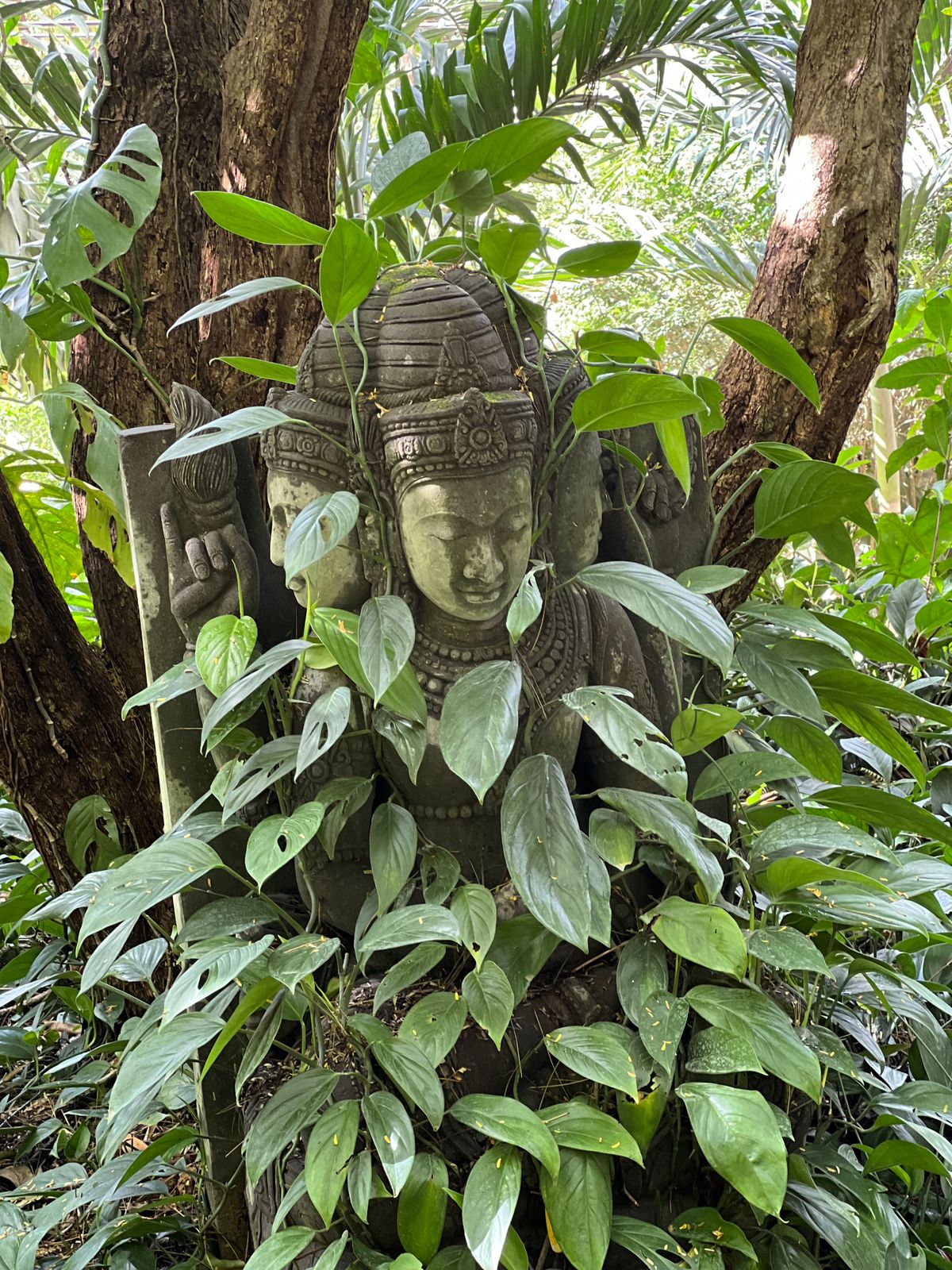 Brahma on the grounds of Bodhi Tree Resort