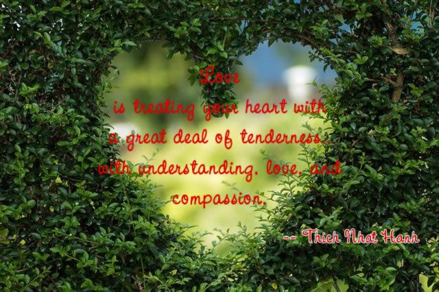 Image by 2023852 from Pixabay