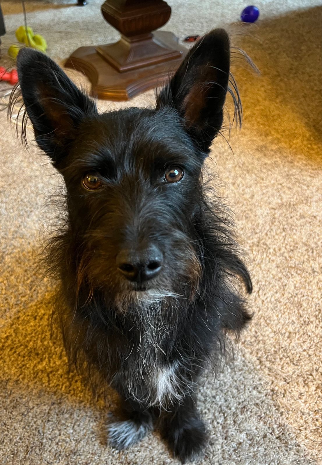 Co-Teacher Malcolm Huey