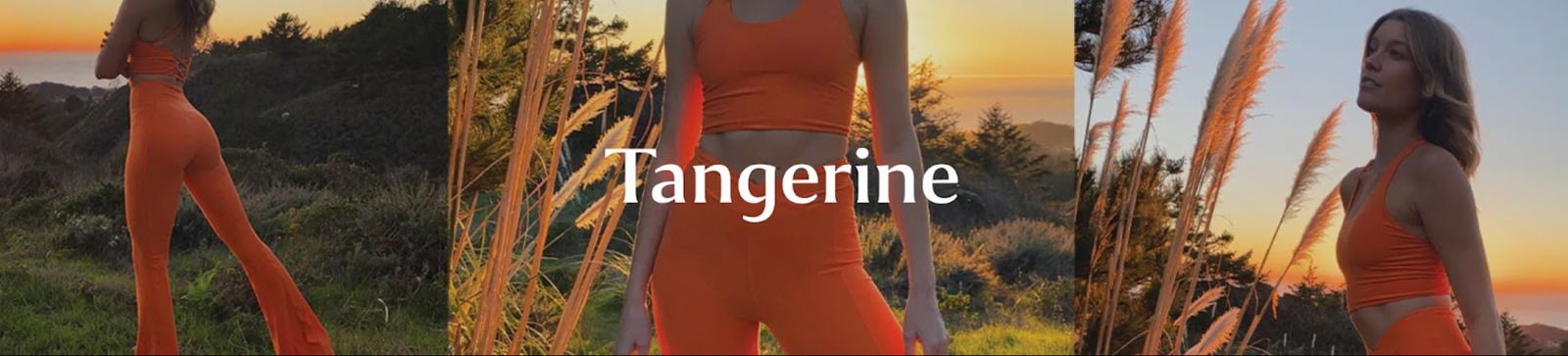 Click here to shop Tangerine