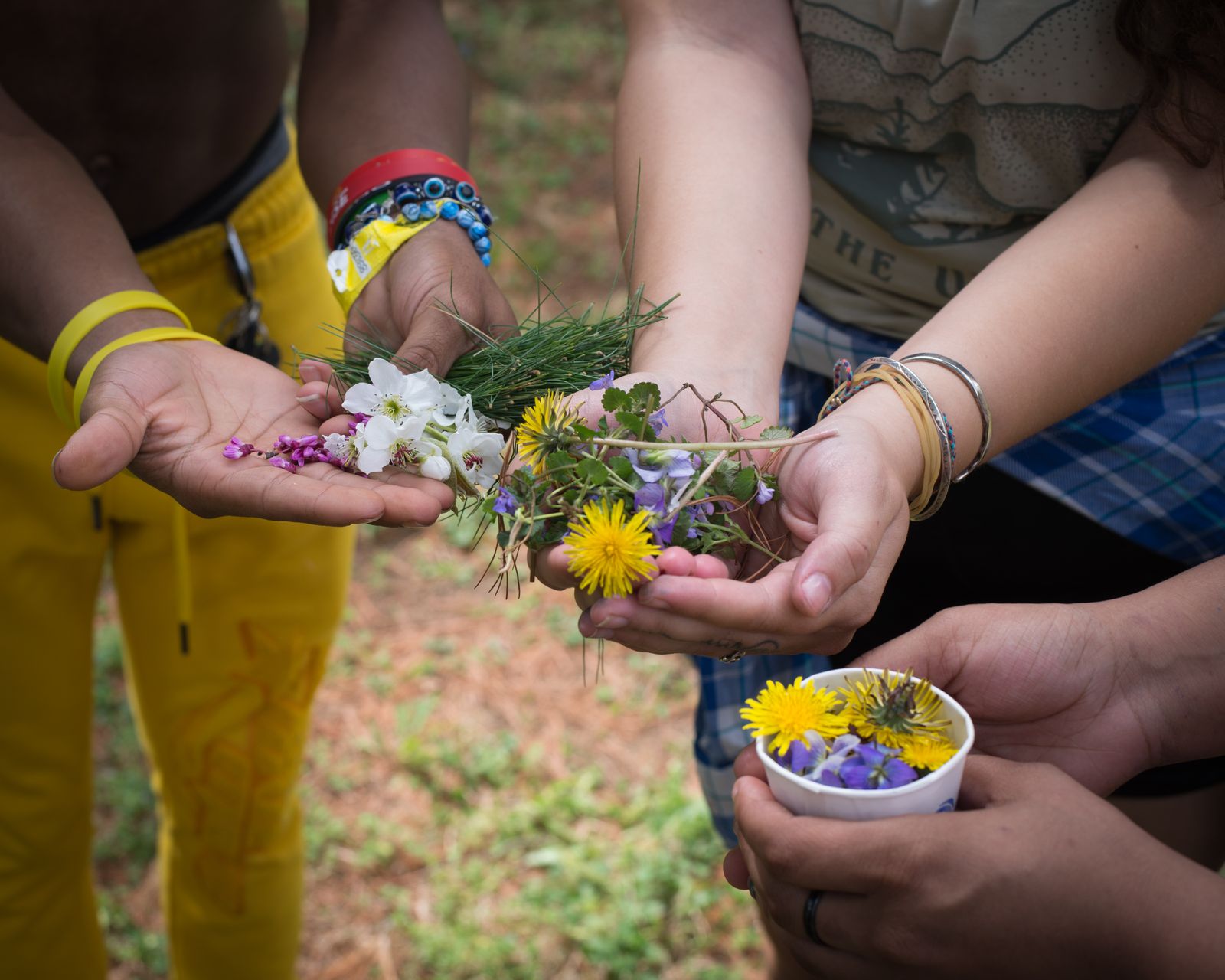 Photo By Tyler Grigsby, Madison and Youth offer handfuls of ethically wildcrafted flowers