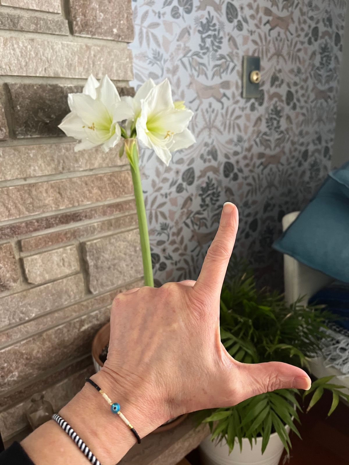 blog-cover-image