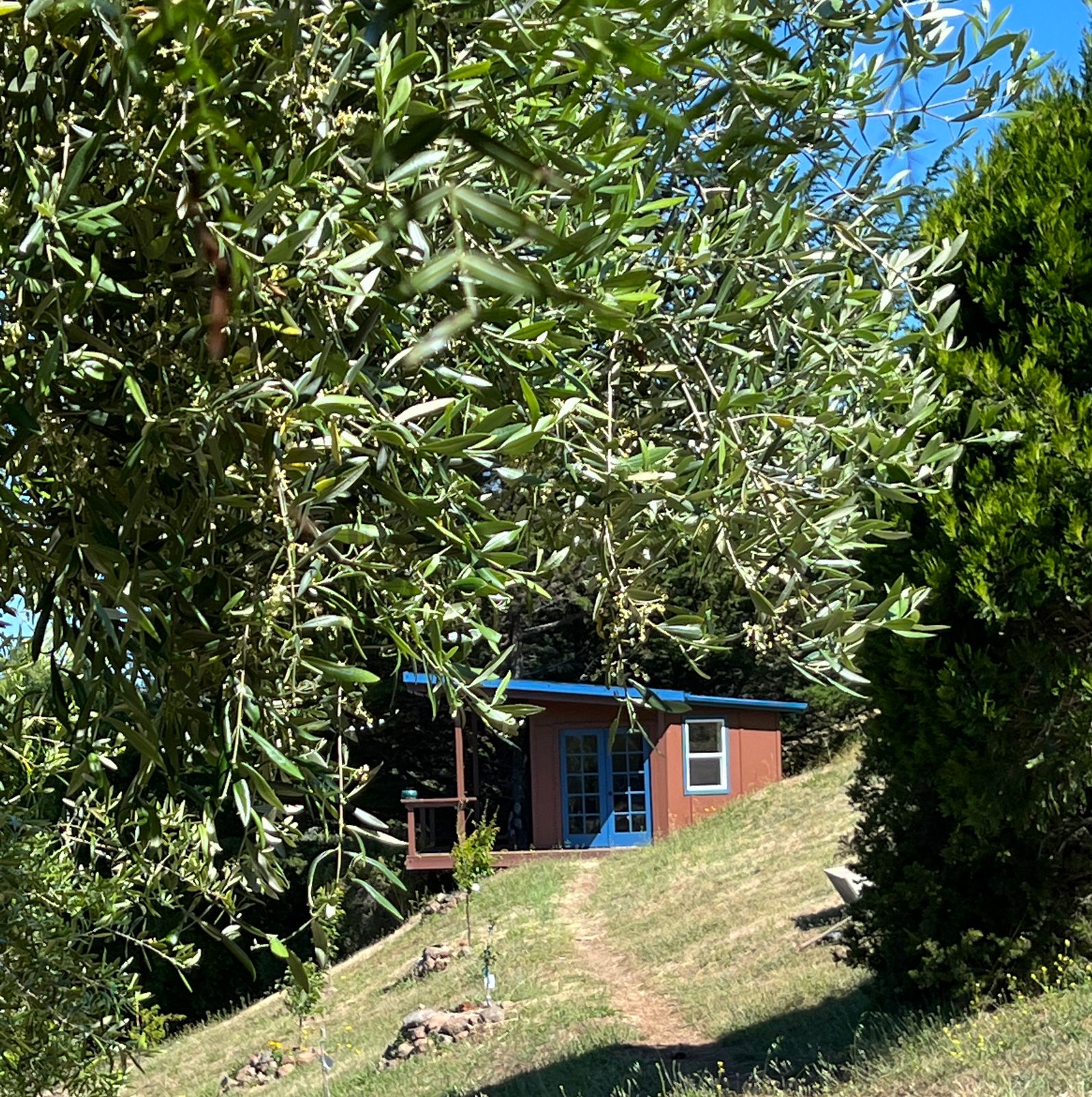 One of my favorite spots on the property