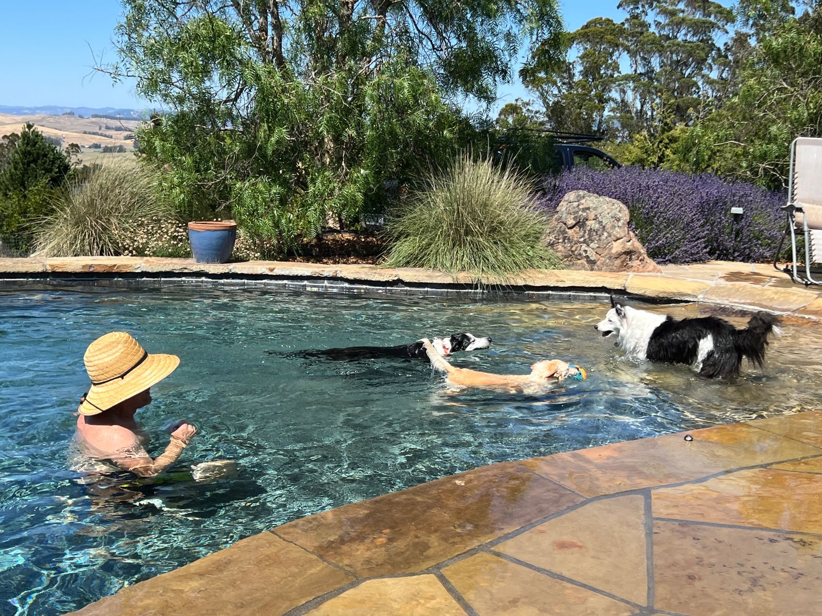 Cooling off with the pups!