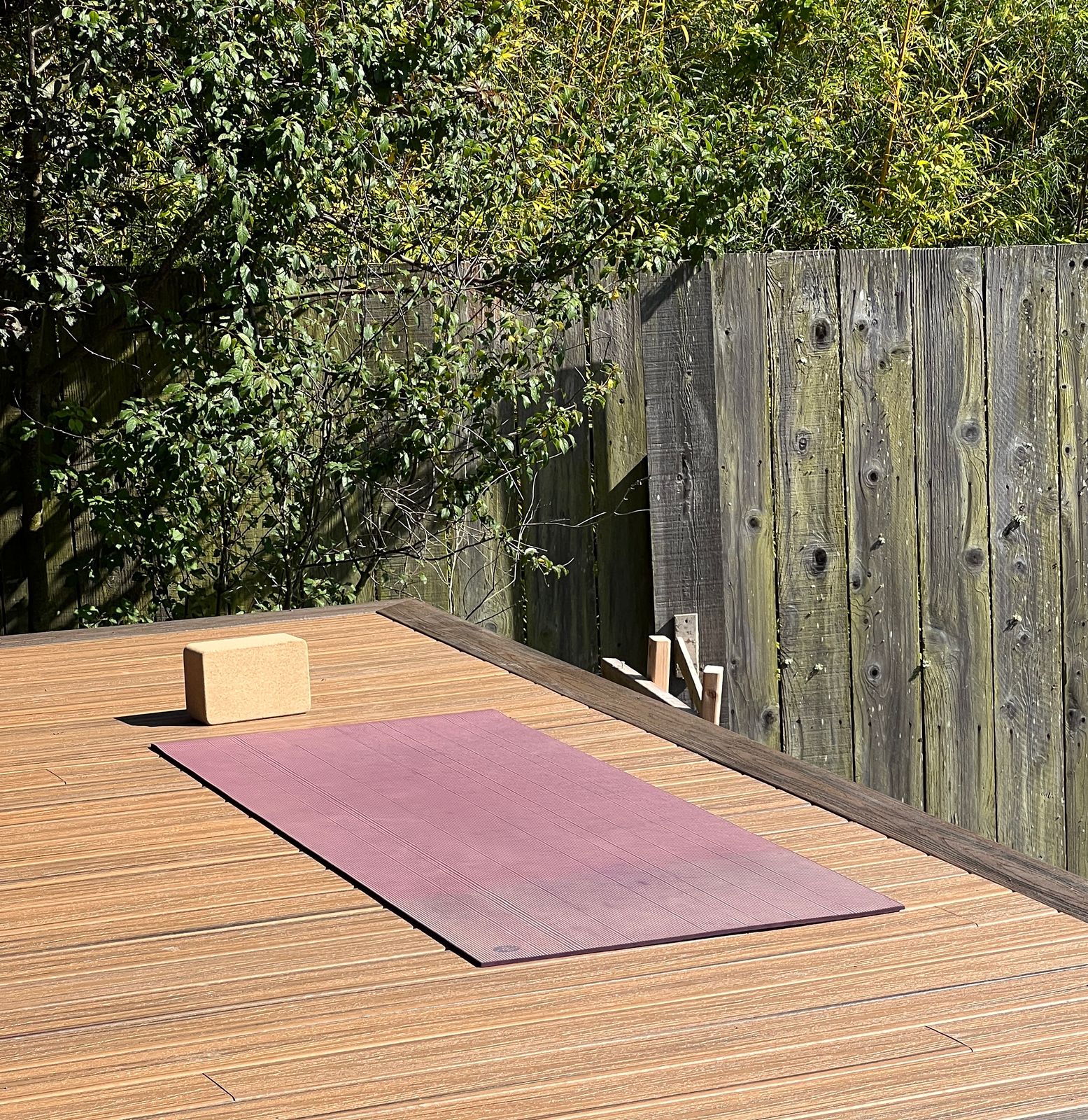 A beautiful spot for my morning yoga