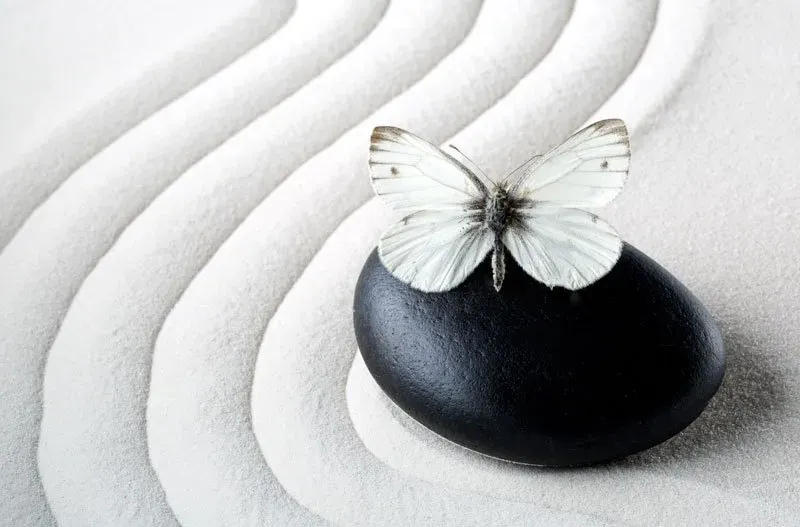 Posted by Buddha Groove