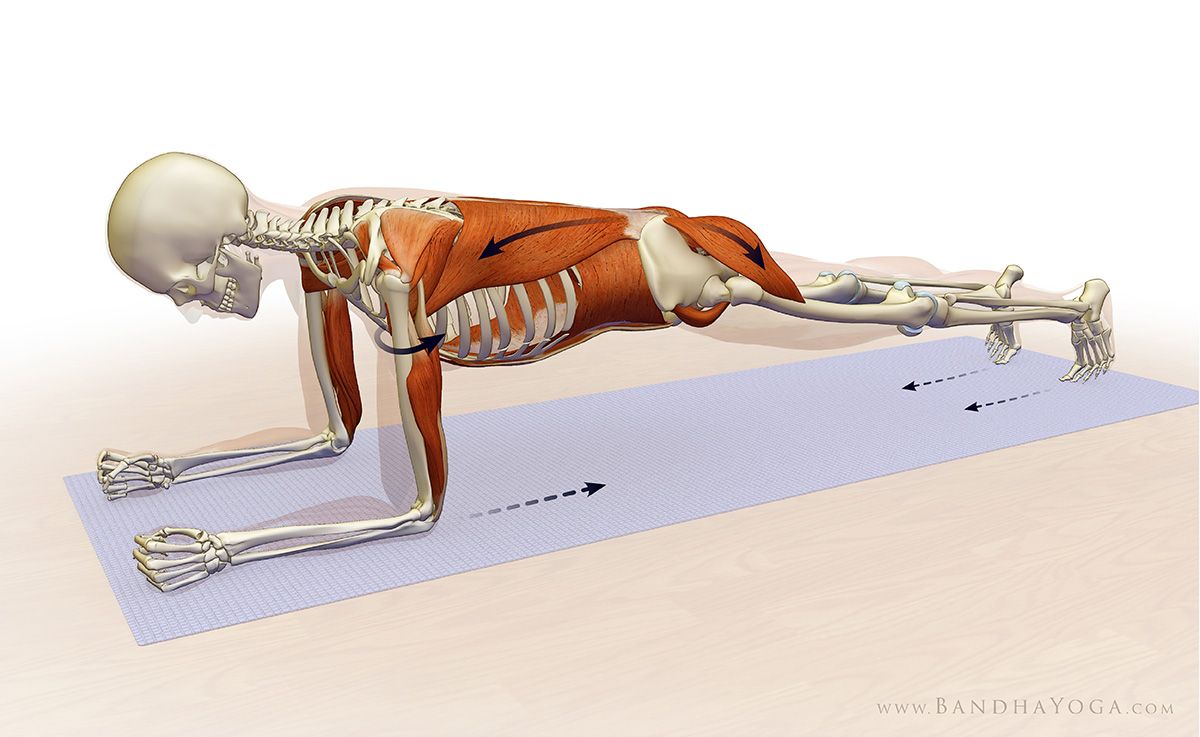 Figure 2: Forearm Plank. Attempt to drag your forearms towards your feet