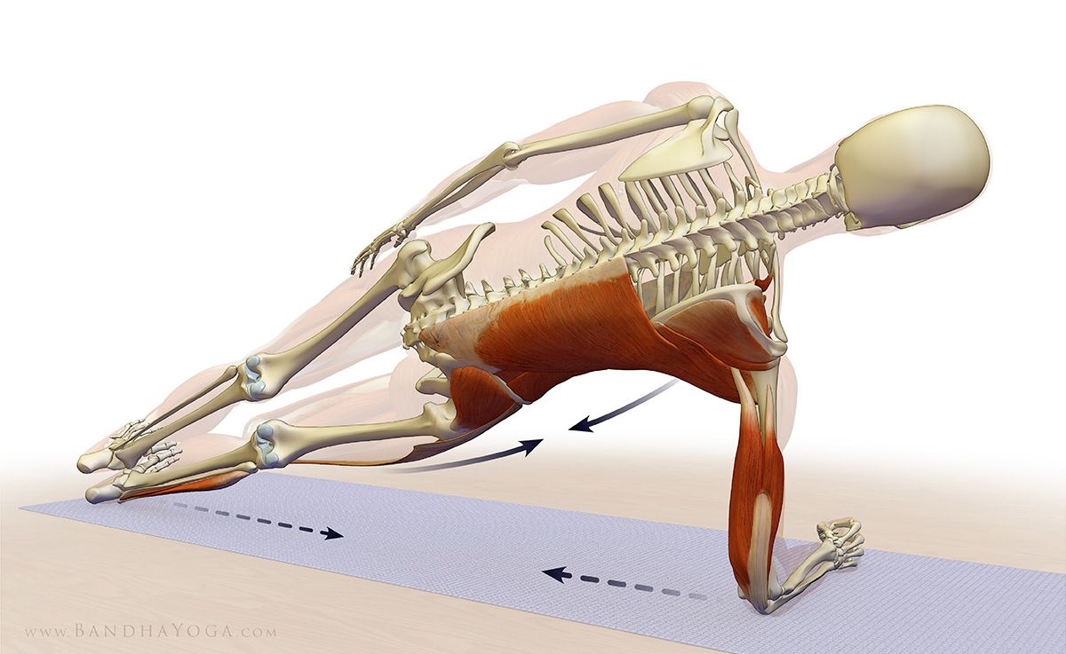 Figure 3: Side Plank. Attempt to drag your forearm toward your foot and your foot toward your forearm