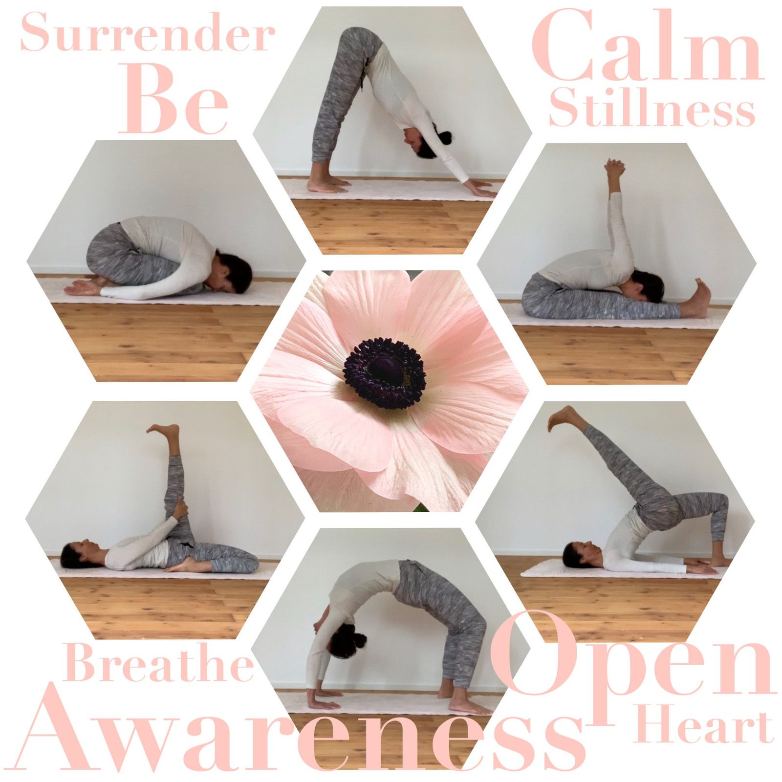 A beautiful flower caught my attention and became the object of my mediation. It’s soft shade, delicate petals, strong center, and openness expression, inspired my yoga practice. The observation of silence and strength, breathe and calmness, allowed my whole being to experience a timeless place of union and compassion. A beautiful yoga moment with the silence of the flower.

Namaste 🙏🏻