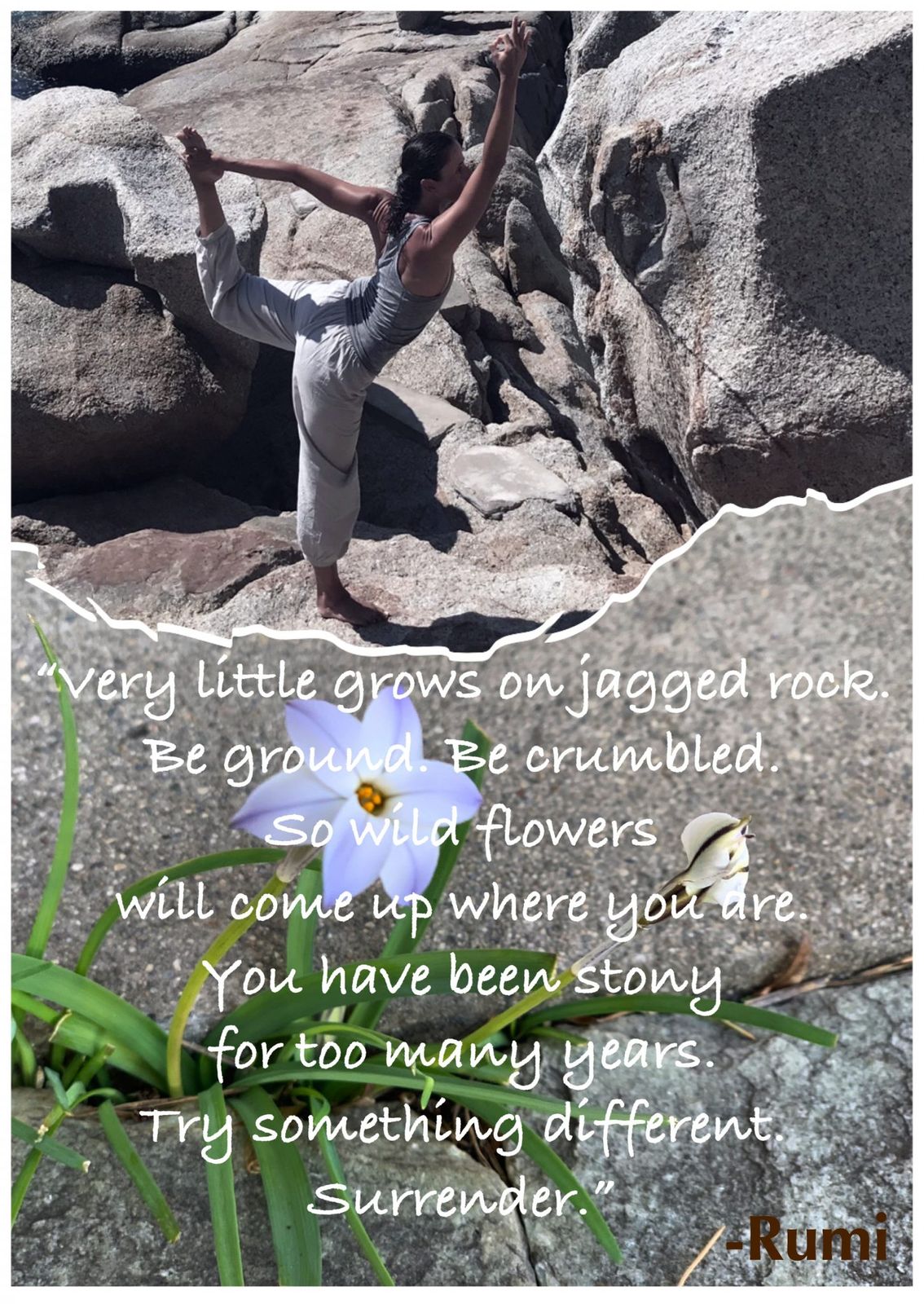 I love this poem by Rumi which message says it is through a “crumbled ground”, a flexible mind and habits change that “wildflowers”, the expression of our uniqueness and potential expand and flourish. “Try something different, surrender”, and simply witness your creative inner self expand through the cracks of your limitations.

Namaste.