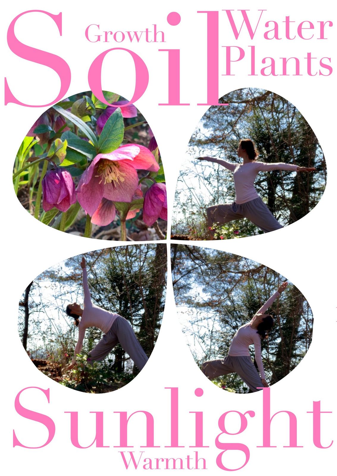 The days are beginning to get longer and warmer. The rain is falling more regularly. The soil and air temperature is rising and the plants are reborn after the cold of the winter. Let’s welcome and open up our senses to the colorful and joyful spring season where birds and many animals are having their babies, plants, grass and produce are growing well, offering delicious variety of healthy food to all.

Namaste