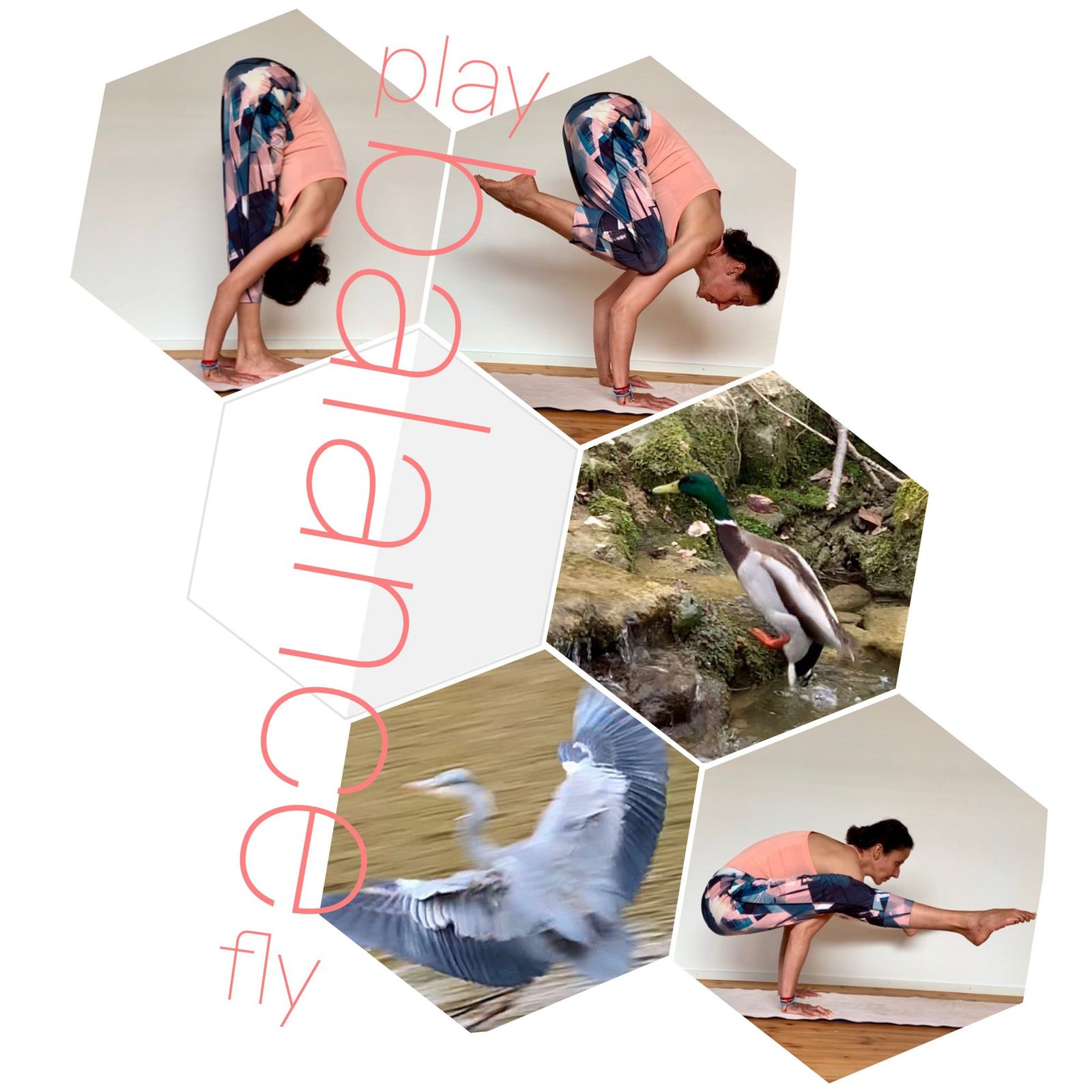 Nature observation takes my whole being to a state of contemplation, calmness, and playfulness where time goes on forever. Witnessing water birds bouncing and flying over the stream fills my heart with silence, understanding, and beauty. My morning practice embraces all that peace, clarity, and lightness.

Namaste