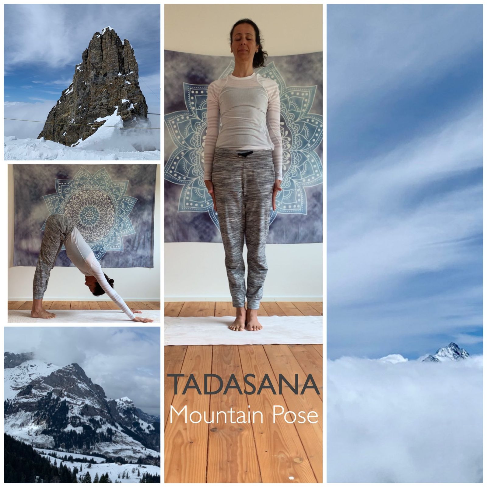 The stability and groundedness of TADASANA make it the foundation pose of all yoga asanas. The solid formation of the mountain stands firm from deep within the Earth while its summits reach towards the sky. When the body is aligned, the feet and legs anchored and the mind centered witnessing deep breathing, the basic mountain pose teaches us to adapt to the changes in life with strength, integrity, awareness, and humility.
Namaste
