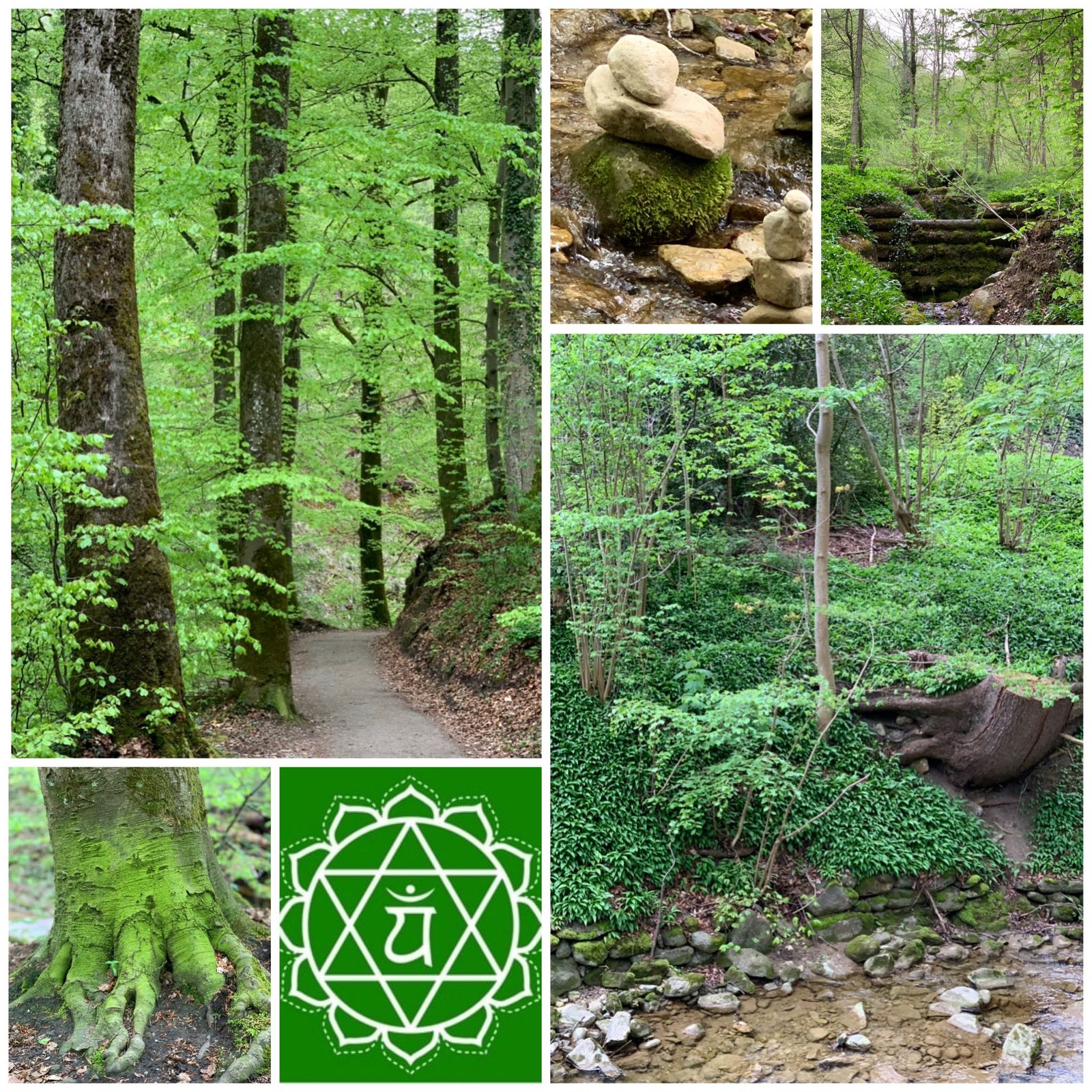 We sometimes face those moments of reflections when we know that the answer is not in the outside world but within our heart. To access that space of love, a walk in the lushly greens allows us to tune in and listen to our inner voice for guidance. Our heart opens up to receive abundant love where the answer appears to us with evidence and clarity. Let’s remember that the truth is in the heart and not in the mind🙏🏻💚

Namaste